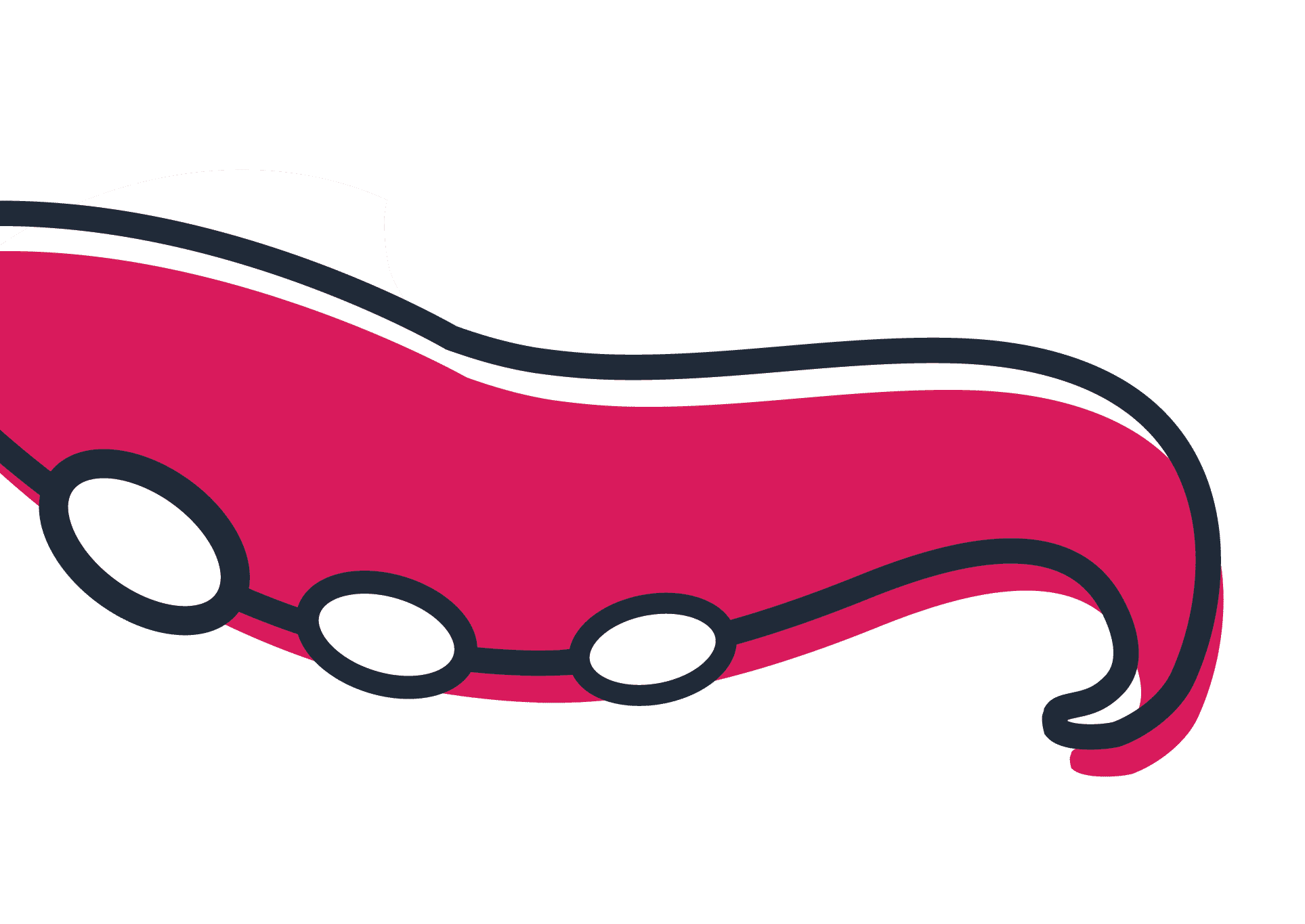 octopus arm