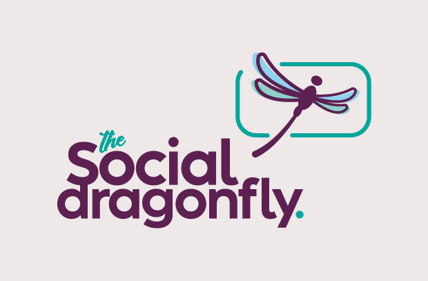 social dragonfly logo & branding